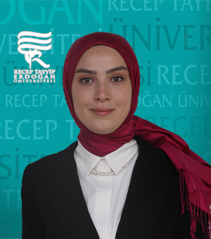 Arş. Gör. Dr. SARE TÜRKMEN ÇINAR