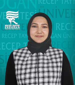 Dr. Öğr. Üyesi AYŞEGÜL YILMAZER