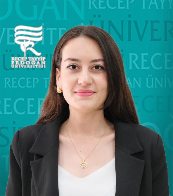 Arş. Gör. DİDEM DAYI