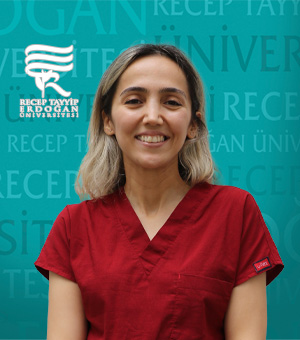 Arş. Gör. GÜLSÜM ÖZDEN