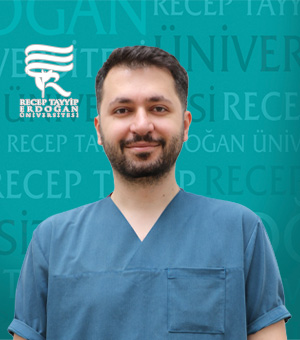 Arş. Gör. KAAN ILICALI
