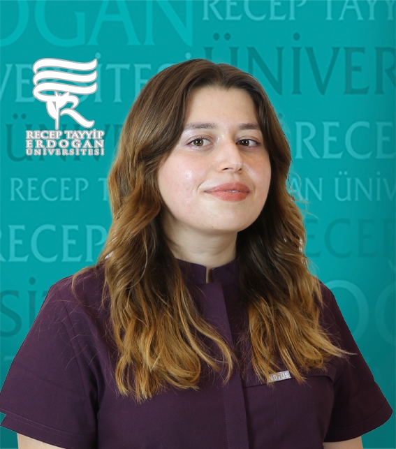Arş. Gör. ELİSA ÇELİK