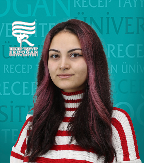 Arş. Gör. DİLAN SARITAŞ