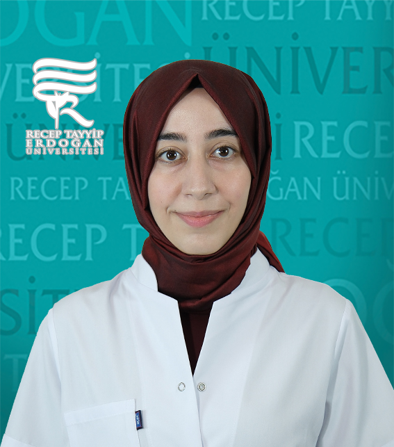 Arş. Gör. AYŞEGÜL BİNGÖL