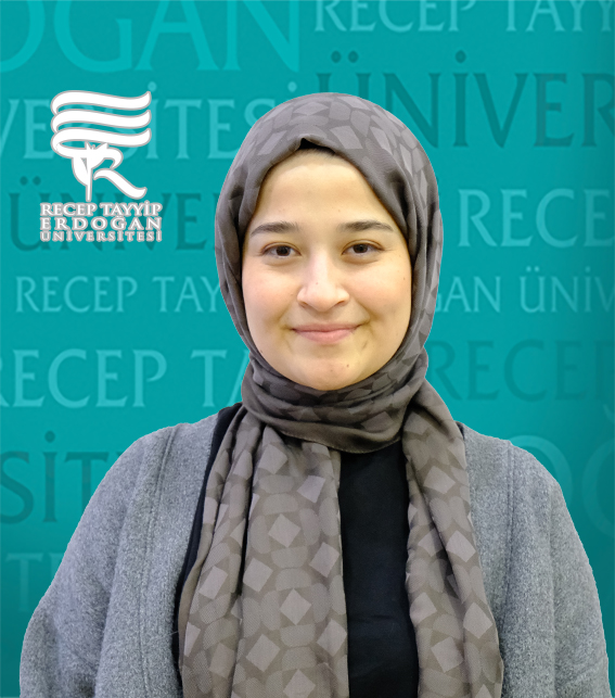Arş. Gör. MERVE İLİ