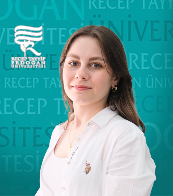Arş. Gör. NUR SEDA KAHRAMAN
