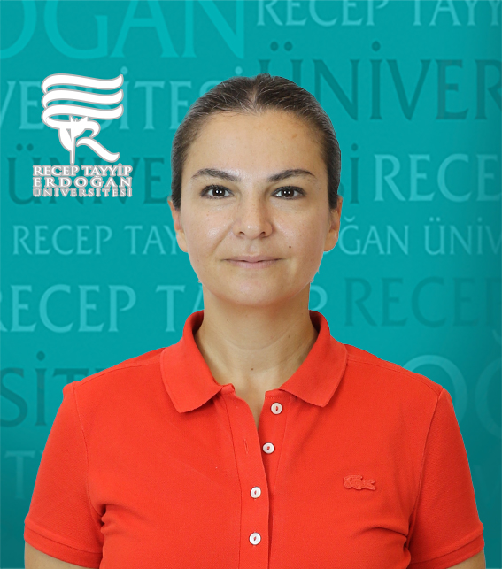 Dr. Öğr. Üyesi DAMLA TÜFEKÇİ