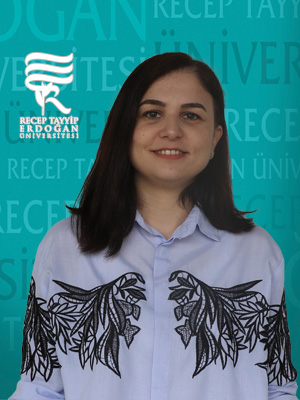 Dr. Öğr. Üyesi NESLİHAN UZUN